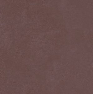 Retina Borgogna