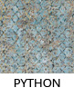 Python Python